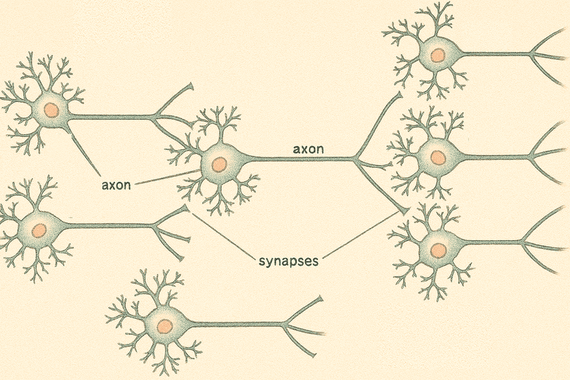 Neural network structure