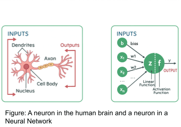Neuron in neural network