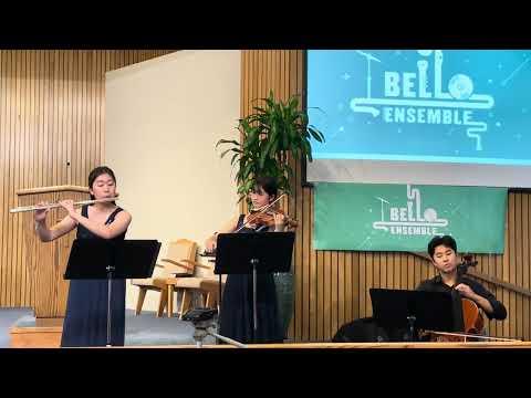 F.Doppler - Nocturne Op.19